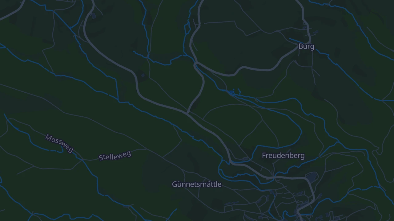 Karte von Görwihl