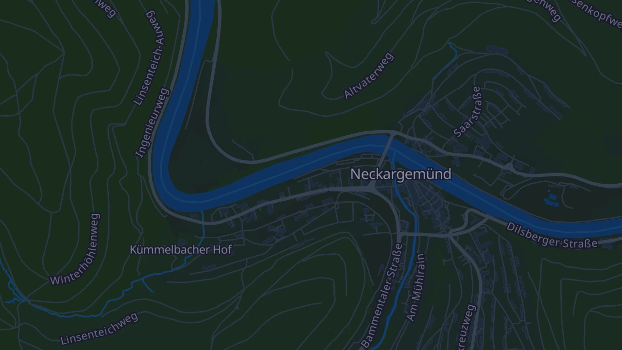 Karte von Neckargemünd