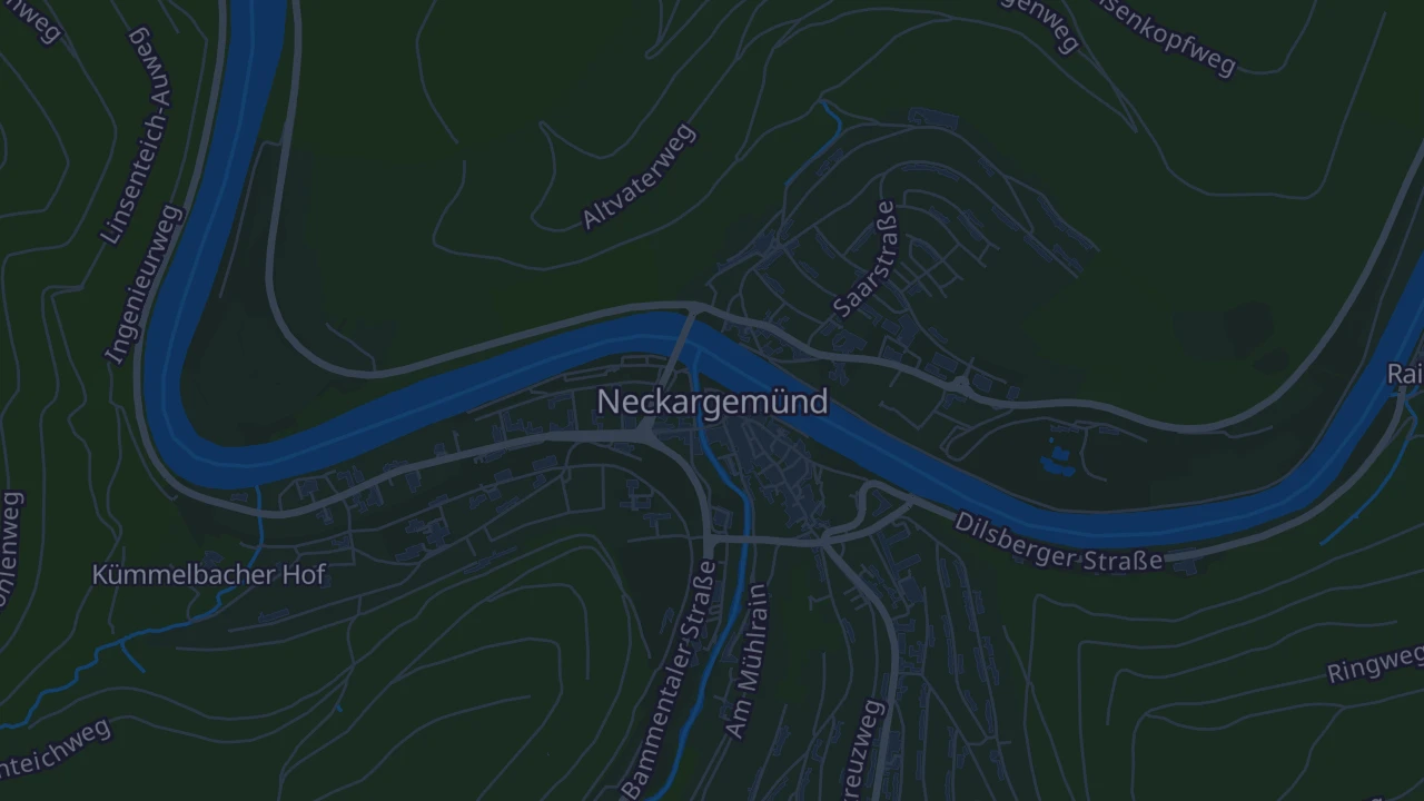 Karte von Neckargemünd