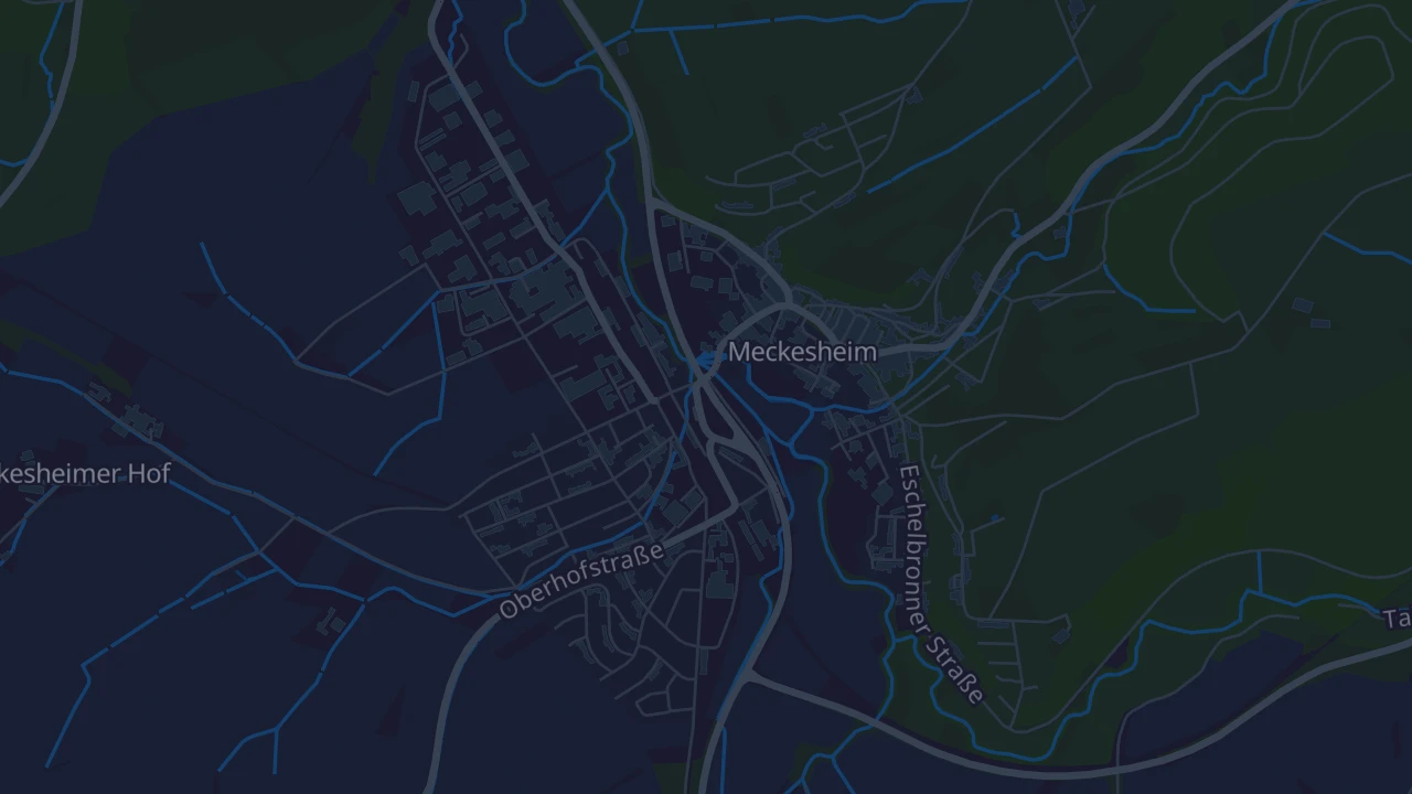 Karte von Meckesheim