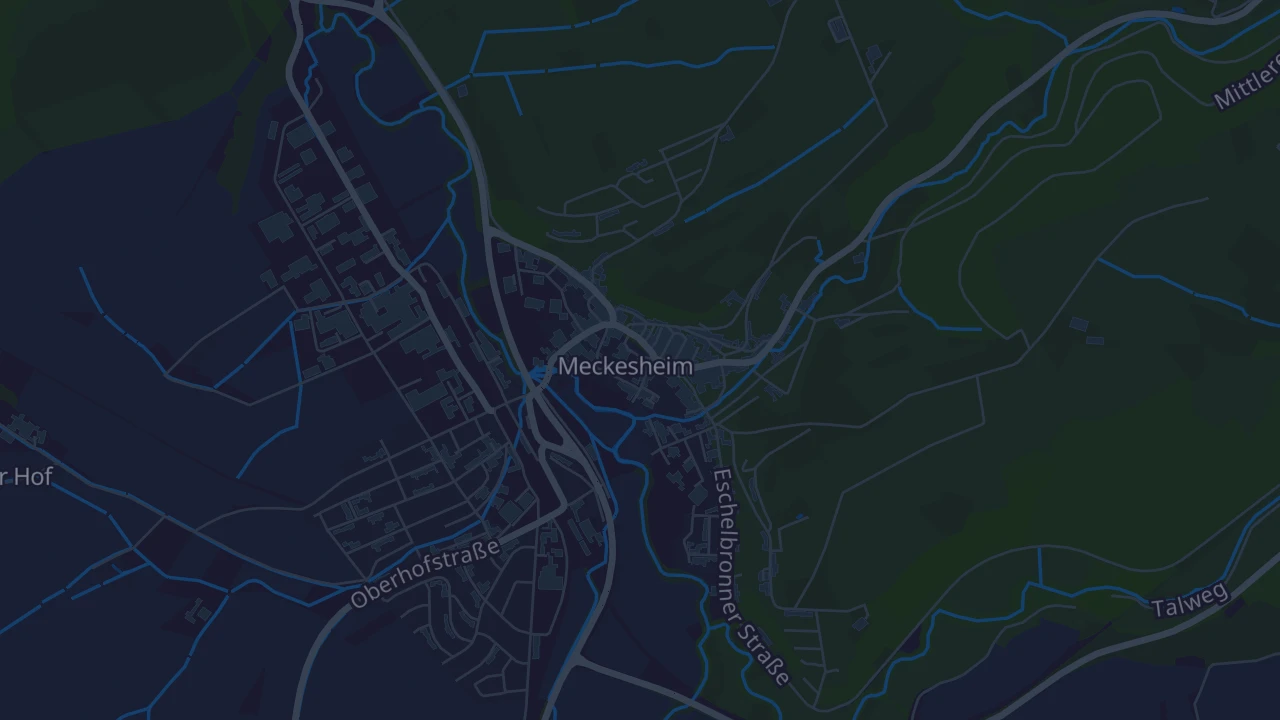 Karte von Meckesheim