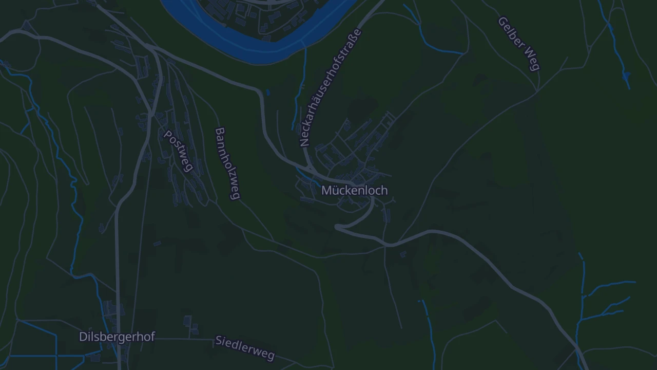 Karte von Neckargemünd