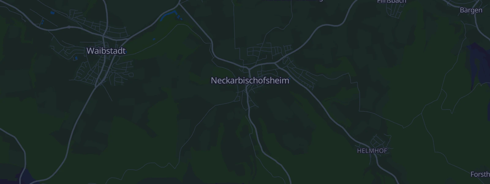 Karte von Neckarbischofsheim