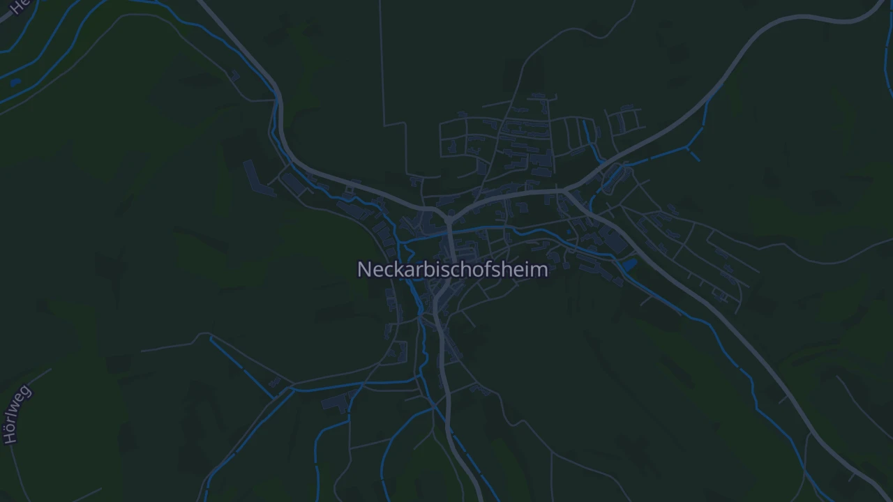 Karte von Neckarbischofsheim