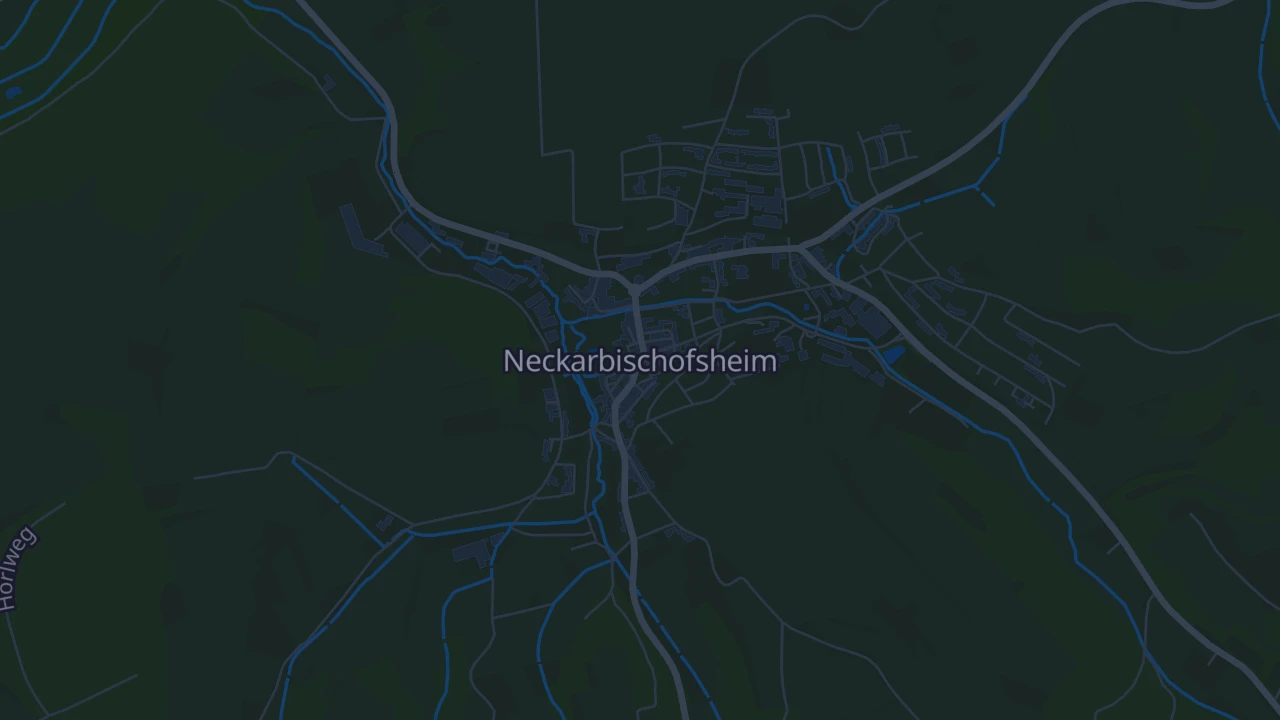 Karte von Neckarbischofsheim