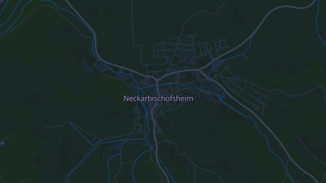 Karte von Neckarbischofsheim