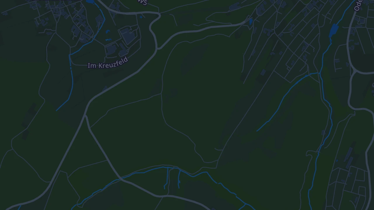 Karte von Bad Wildungen